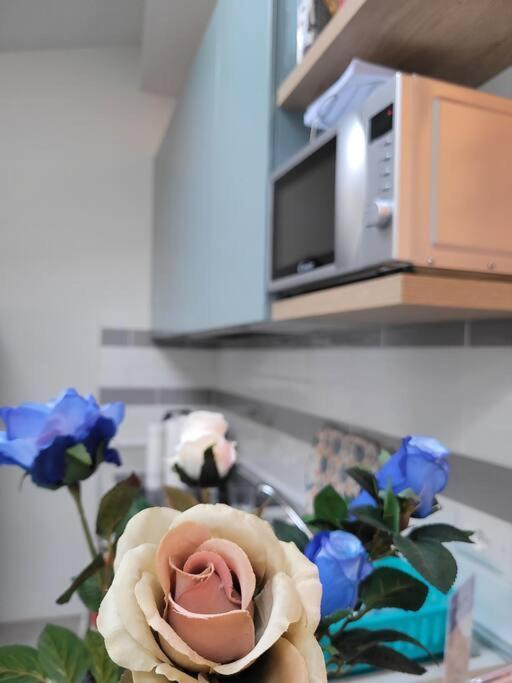 Casa Fiori Blu - Figline Valdarno Apartman Kültér fotó