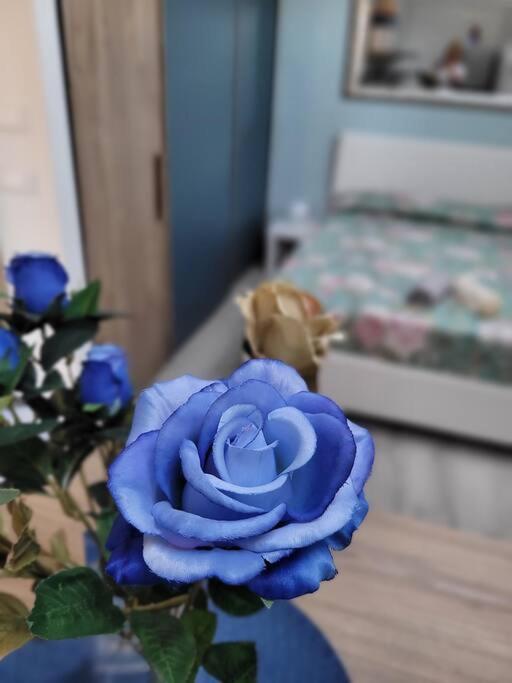 Casa Fiori Blu - Figline Valdarno Apartman Kültér fotó